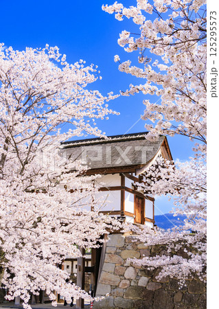 桜満開の長野松代城址 125295573