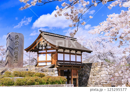 桜満開の長野松代城址 125295577