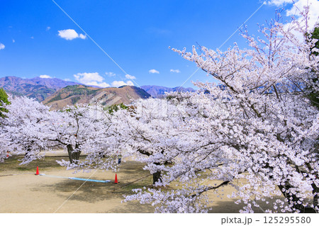 桜満開の長野松代城址 125295580