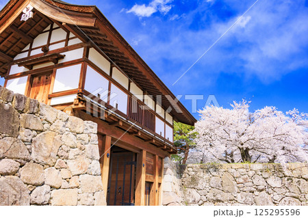 桜満開の長野松代城址 125295596