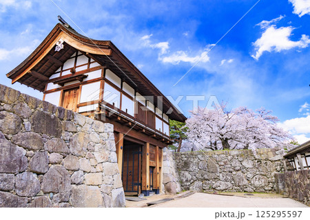 桜満開の長野松代城址 125295597