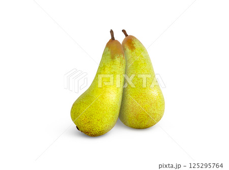 Two ripe pears isolated. Green standing pear. 125295764
