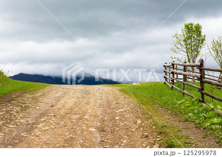 countryside mountain landscape in spring. green nature with cloudy sky. beautiful view with fence along the path through hill in the rain for tourism. rural outdoor adventure countryside mountain landscape in spring. green nature with cloudy sky. beautiful view with fence along the path through hill in the rain for tourism. rural outdoor adventure 125295978