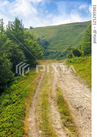 country gravel road through highlands. travel transcarpathia region of ukraine in summer. carpathian outdoor background. path uphill borzhava ridge. alpine scenery in dappled light country gravel road through highlands. travel transcarpathia region of ukraine in summer. carpathian outdoor background. path uphill borzhava ridge. alpine scenery in dappled light 125295981