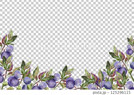 Blueberry border with green leaves on branch, hand drawn watercolor, ripe forest berry. Isolated frame botanical illustration for restaurant, cafe menu, wedding, farmers market 125296115