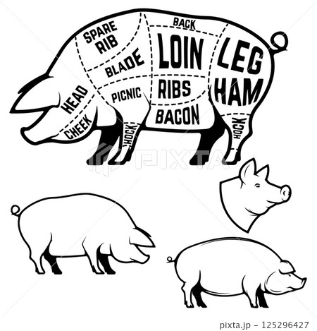 Butcher diagram, scheme and guide - Pork cuts.  Set of pig silhouettes isolated on white background 125296427