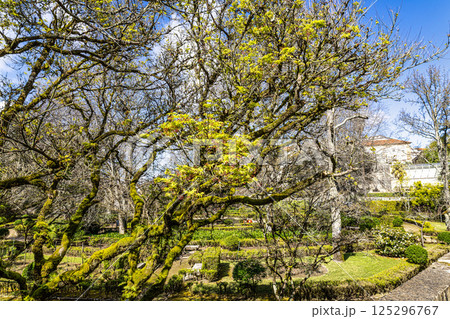 The Botanical Garden of the University of Coimbra in Portugal. The garden was founded in the 18th century 125296767