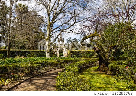 The Botanical Garden of the University of Coimbra in Portugal. The garden was founded in the 18th century 125296768