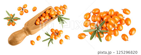 Sea buckthorn in wooden scoop. Fresh ripe berry with leaves isolated on white background. Top view. Flat lay Sea buckthorn in wooden scoop. Fresh ripe berry with leaves isolated on white background. Top view. Flat lay 125296820