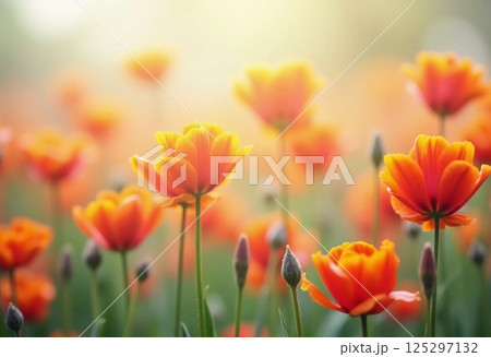 Glistening orange blossoms gently sway in the breeze, surrounded by a field of green. The soft focus creates an ethereal ambiance perfect for relaxation and reflection Generative AI 125297132