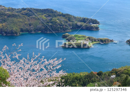 【愛媛県】満開の桜と能島と鵜島 125297346