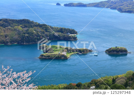 【愛媛県】満開の桜と能島と鵜島 【愛媛県】満開の桜と能島と鵜島 125297348