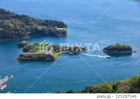【愛媛県】満開の桜と能島と鵜島 125297349