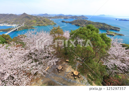 【愛媛県】満開の桜と伯方大島大橋の眺望(しまなみ海道) 【愛媛県】満開の桜と伯方大島大橋の眺望(しまなみ海道) 125297357