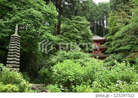 岩船寺　三重塔と十三重石塔【重要文化財】 125297522