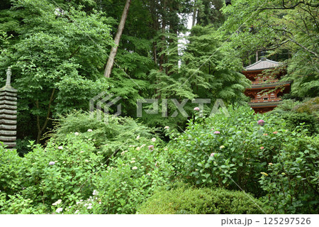 岩船寺　三重塔と十三重石塔【重要文化財】 125297526