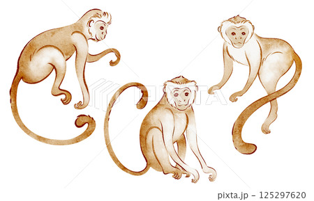 Collection of hand drawn macaque monkeys in watercolor. Set of wild animals, primates, and tropical creatures. Perfect for safari-themed decor, stickers, or nursery illustrations. Collection of hand drawn macaque monkeys in watercolor. Set of wild animals, primates, and tropical creatures. Perfect for safari-themed decor, stickers, or nursery illustrations. 125297620