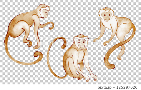 Collection of hand drawn macaque monkeys in watercolor. Set of wild animals, primates, and tropical creatures. Perfect for safari-themed decor, stickers, or nursery illustrations. Collection of hand drawn macaque monkeys in watercolor. Set of wild animals, primates, and tropical creatures. Perfect for safari-themed decor, stickers, or nursery illustrations. 125297620