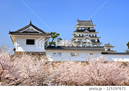【広島県】桜咲く春の福山城（復興後）福山城桜まつり 125297672
