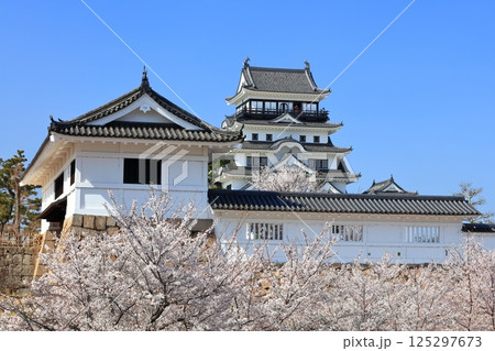【広島県】桜咲く春の福山城（復興後）福山城桜まつり 125297673