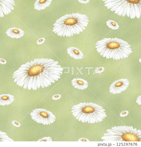 Wildflowers chamomile. Seamless floral watercolor pattern on green background. Hand drawn sketch meadow yellow-white flowers for fabric print, textile and packaging. Endlessly repeating ornament 125297676