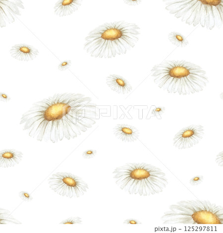 Wildflowers chamomile. Seamless floral watercolor pattern of isolated from background. Hand drawn sketch meadow yellow-white flowers for fabric print, textile, packaging. Endlessly repeating ornament 125297811