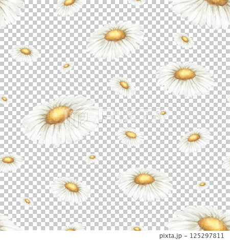 Wildflowers chamomile. Seamless floral watercolor pattern of isolated from background. Hand drawn sketch meadow yellow-white flowers for fabric print, textile, packaging. Endlessly repeating ornament 125297811