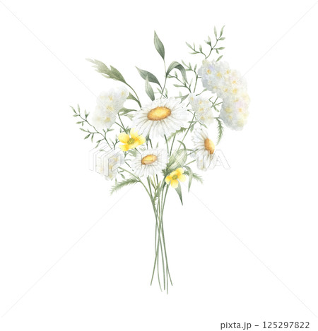 Bouquet floral of watercolor wildflowers chamomile, yarrow, buttercup and meadow grasses isolated from background. Hand drawn illustration of yellow and white flowers for fabric, packaging, postcard 125297822