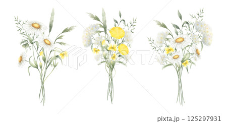 Bouquets floral of watercolor wildflowers chamomile, dandelion, yarrow, buttercup and meadow grasses isolated from background. Hand drawn illustration set of yellow white flowers for fabric, postcard 125297931