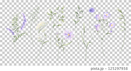 Wildflowers bellflower, mouse pea, yarrow and meadow grasses. Hand drawn isolated watercolor illustration set of lilac and purple flower for fabric print, postcard and sticker. Sketch of field plants Wildflowers bellflower, mouse pea, yarrow and meadow grasses. Hand drawn isolated watercolor illustration set of lilac and purple flower for fabric print, postcard and sticker. Sketch of field plants 125297938