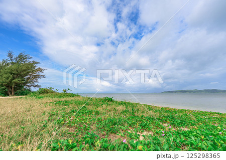 静かな波音と可憐な花に包まれる石垣島のビーチ 125298365
