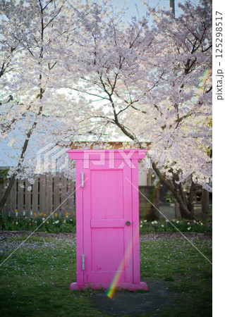 ピンクのドアと桜 125298517
