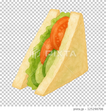 蔬菜三明治（食物）的水彩插圖 125298706