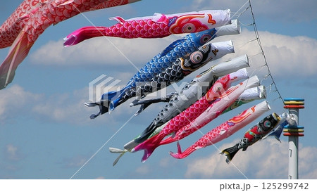 風薫る若宮ふれあい公園で鯉のぼり(2013.5.3) ゴールデンウィークはどこで過ごします 125299742