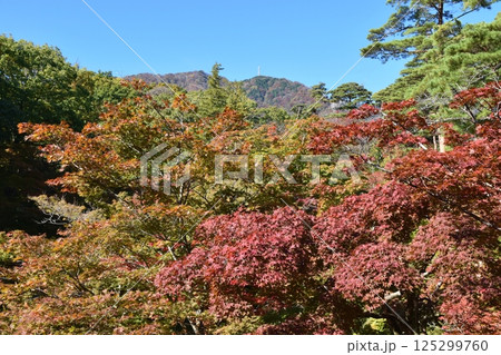 秋の紅葉谷公園　新潟 125299760