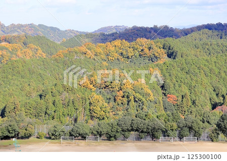 色づく 郊外の里山 色づく 郊外の里山 125300100