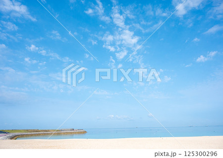 夏の始まりを感じる海辺の風景 125300296