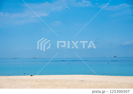 夏の始まりを感じる海辺の風景 125300307