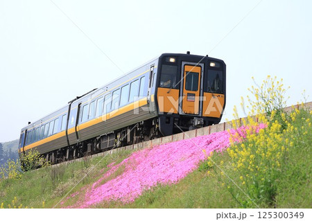 【JR西日本】春のキハ187系500番台 特急「スーパーいなば」（智頭線：佐用〜平福） 125300349