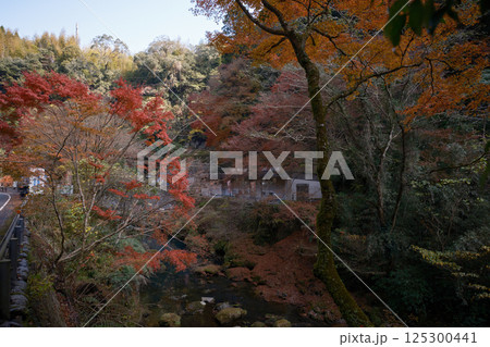 秋の紅葉に包まれる塩浸温泉龍馬公園 秋の紅葉に包まれる塩浸温泉龍馬公園 125300441
