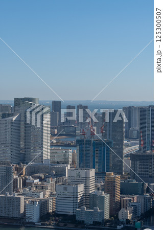 高層ビルから見る都心の風景 高層ビルから見る都心の風景 125300507