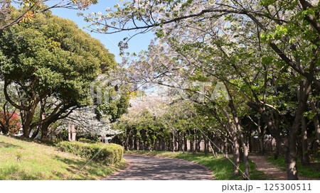 春の千葉ポートパーク 125300511