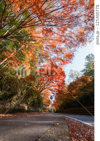秋の紅葉に色づく霧島の風景 秋の紅葉に色づく霧島の風景 125300778