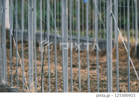 ビニールハウスの骨組み ビニールハウスの骨組み 125300915