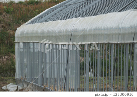 シンプルなビニールハウスの風景 シンプルなビニールハウスの風景 125300916