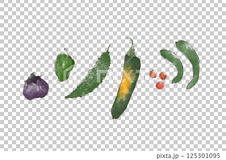 水彩で描いた夏野菜のイラスト 125301095