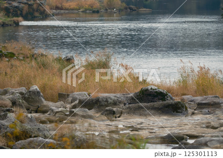 静かな川の風景 静かな川の風景 125301113