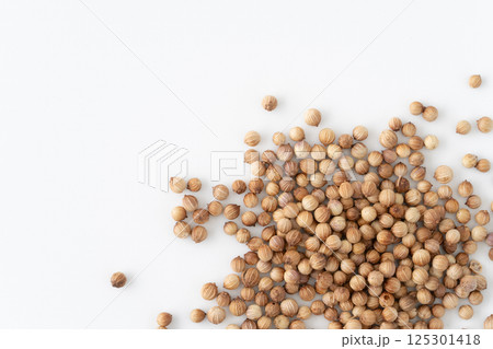 白背景に複数のコリアンダーシード（ホール） 125301418