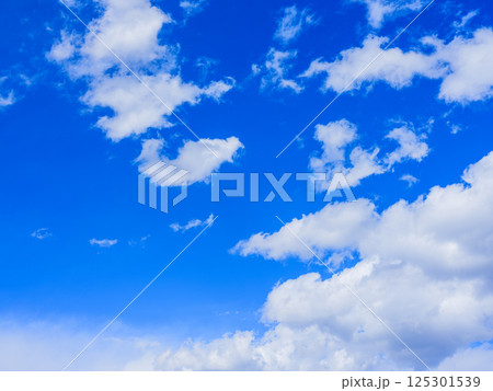 青い空白い雲 青い空白い雲 125301539