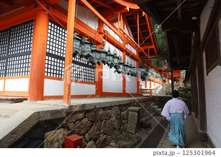 春日大社　奈良県　奈良市 春日野町 125301964